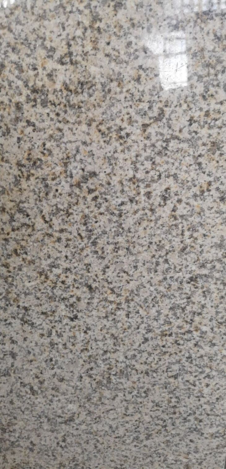 Hot Sale Granite G682